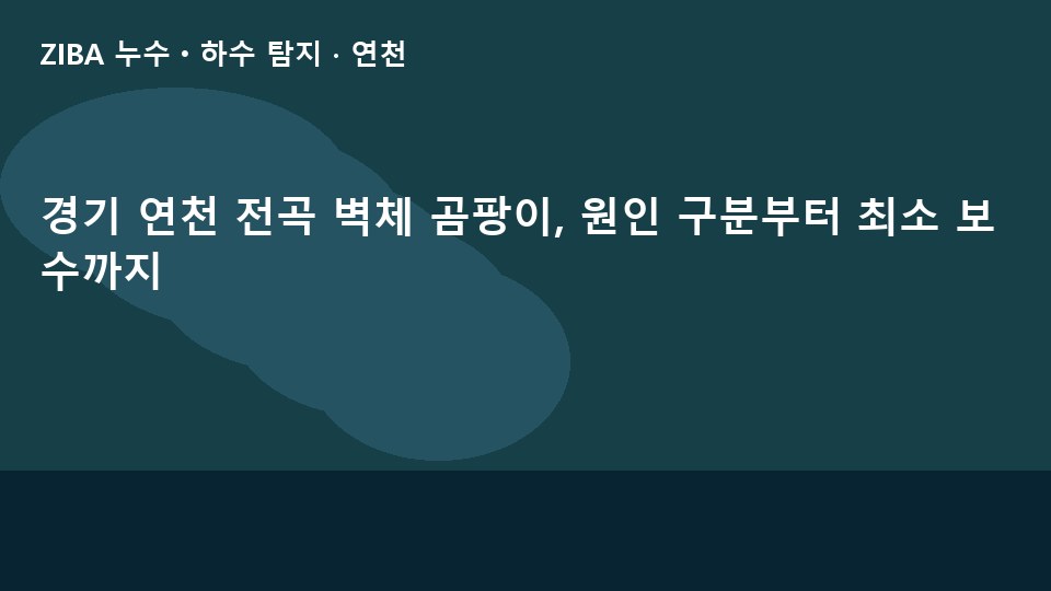 경기 연천 전곡 벽체 곰팡이, 원인 구분부터 최소 보수까지