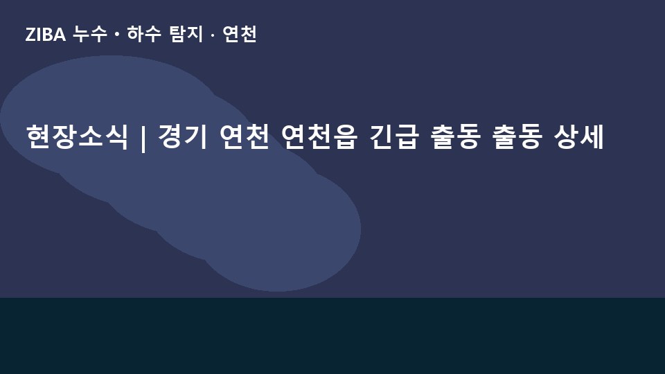 현장소식 | 경기 연천 연천읍 긴급 출동 출동 상세