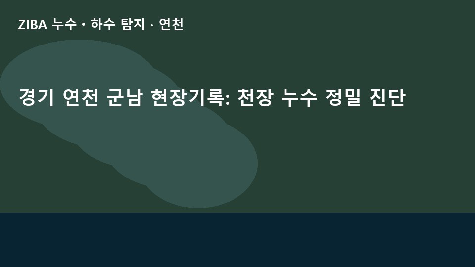 경기 연천 군남 현장기록: 천장 누수 정밀 진단