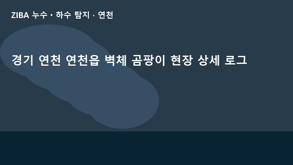 경기 연천 연천읍 벽체 곰팡이 현장 상세 로그